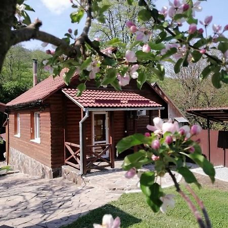 Зачаровані Карпати, Воловець Eksteriør bilde